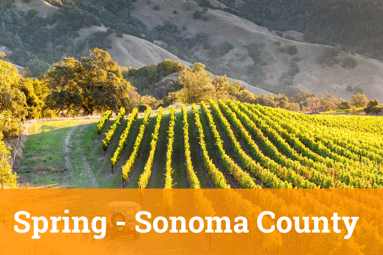 2024 Spring Academy - Sonoma County